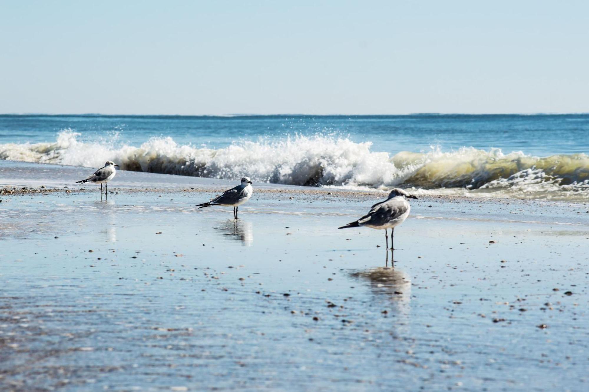 Super Cute With Deeded Beach Access Gulf Shores Esterno foto